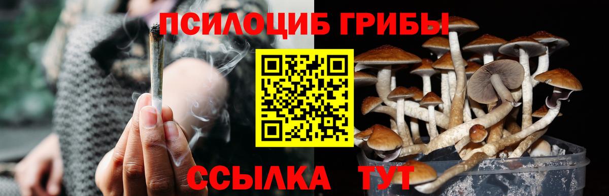 Псилоцибиновые грибы прущие грибы  что такое   Саяногорск  Псилоцибиновые грибы GOLDEN TEACHER  Вход с VPN 